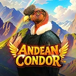 Andean Condor